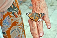 photo-gallery-image-9